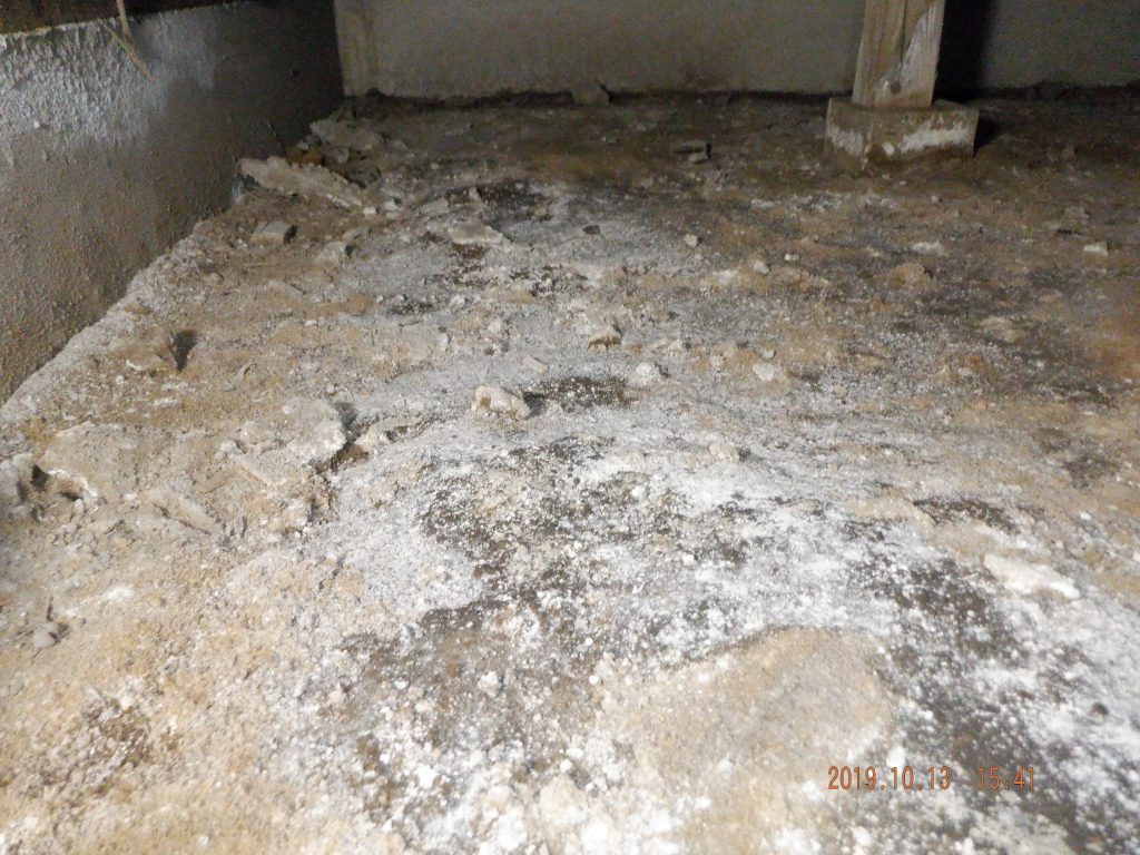 実は気づいていない床下のカビ – 株式会社一心建設
